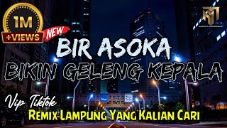 BIR ASOKA BIKIN GELENG KEPALA - REMIX LAMPUNG YANG KALIAN CARI ❗