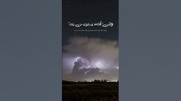 إِنَّكَ لَا تَهْدِى مَنْ أَحْبَبْتَ | سورة القصص #ياسر_الدوسري #quran