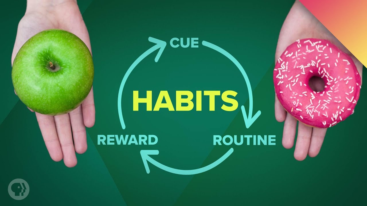 ⁣How Habits Can Change Your Life (and Your Brain)