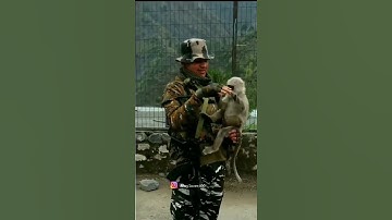CRPF Status video || crpf  cobra commando status || indian Army status video #shorts