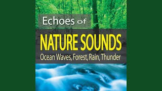 Echoes of Thunder Rumbles Approaching