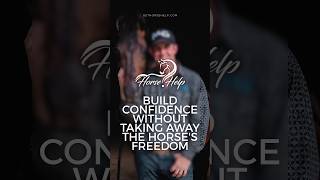 Build Confidence Without Taking Away the Horses Freedom