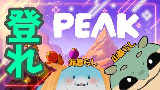 〖PEAK〗ハイキングにいこうぜ！