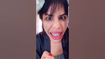 الشوقر دادي حقي ابو شركات 