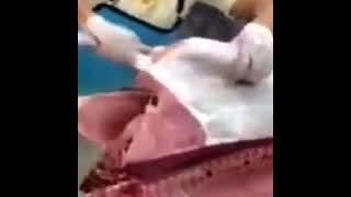 Amazing World's Fastest Everything 2017 - Awesome People Fast Workers Skill God Level Compilation