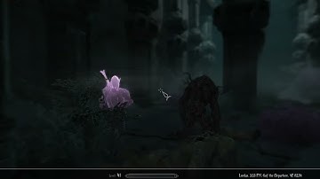 Enderal: Iron Path - The Power of an Apparition