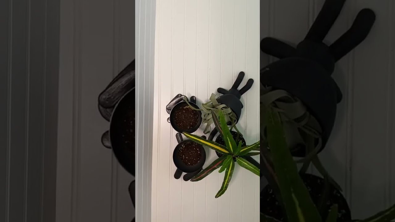 Bob Planters Are For The Cool Kids Fixer Upper 