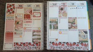 Plan with Me | Strawberry Patch | Erin Condren Life Planner