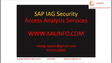 SAP IAG Access Analysis Services