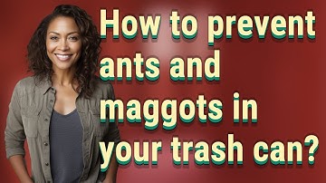 How to prevent ants and maggots in your trash can?