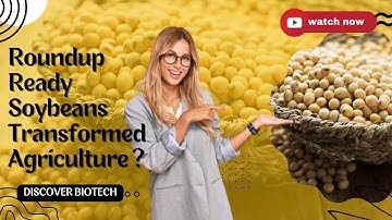 How Roundup Ready Soybeans Transformed Agriculture in 1996