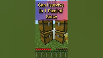 Can 1 pixel of snow save me (minecraft)