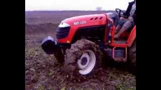 Ankara - Kalecik Pancar Çilesi