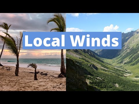 Video: What is the wind like? local winds