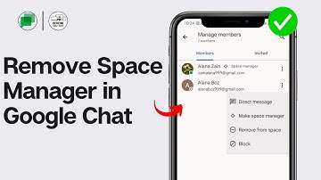How to Remove Space Manager in Google Chat 2024 (FULL GUIDE)