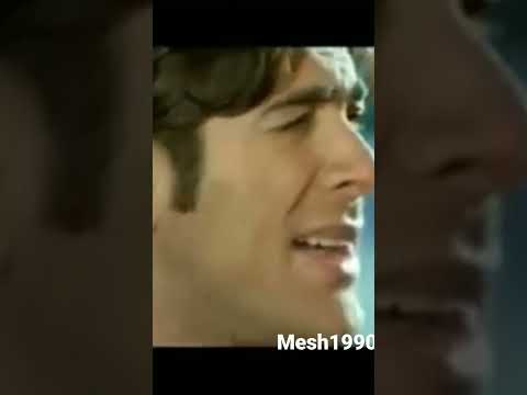 تبكي الطيور وائل كفوري 