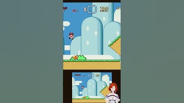 Point proven. #retro #retrogaming #mario #vtuber #vtuberclips