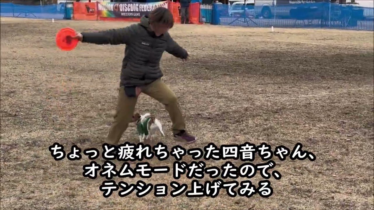 四音ちゃん、初めてのディスク大会　Million裾野　2025年12月27日ー