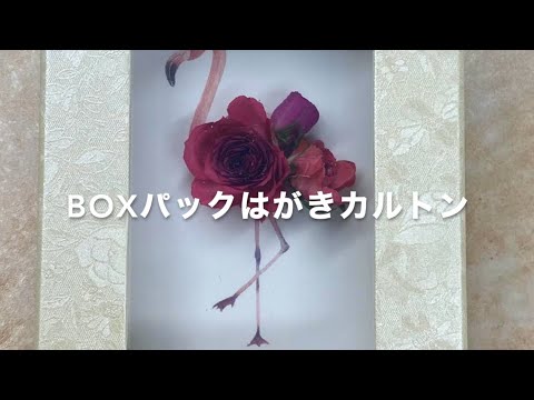 レカンフラワー レカンフラワー - YouTube