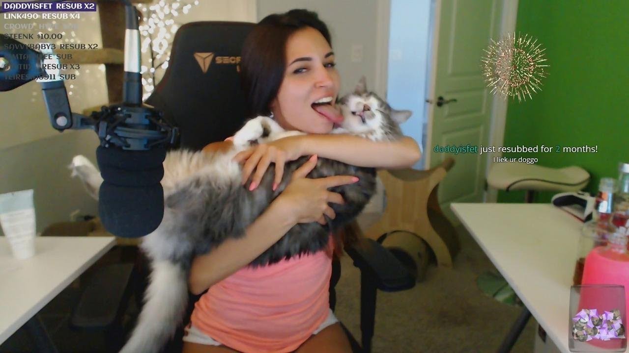 Alinity Cat Video