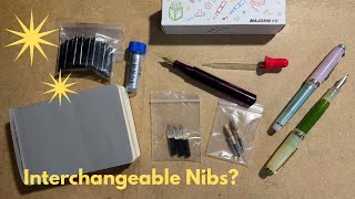 Sipliv Majohn Wancai Mini Fountain Pen Review