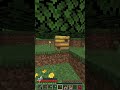 100 days Minecraft Meadow only world Day 4 #shorts #100days #minecraft
