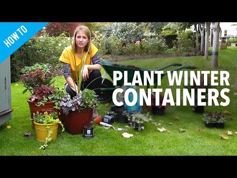 Video: Containertuinieren bij koud weer - Containertuinieren in de winter en herfst