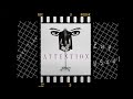 Sony Tran - "Attention" feat. Zuy & VSoul (Official Video)