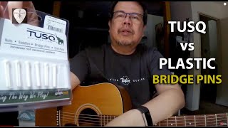 Tusq Bridge Pins vs Plastic Bridge Pins Comparison  Acoustic Guitar | Edwin-E