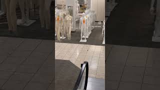 Gen X. We've watched it all end. #genx #mall #end #time #80s #90s #growingold #shopping #youtube