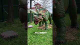 Трицератопс/Triceratops