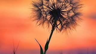 Grace Lokwa  Kumama Papa 1 Hour Loop Ft Clement Whyte