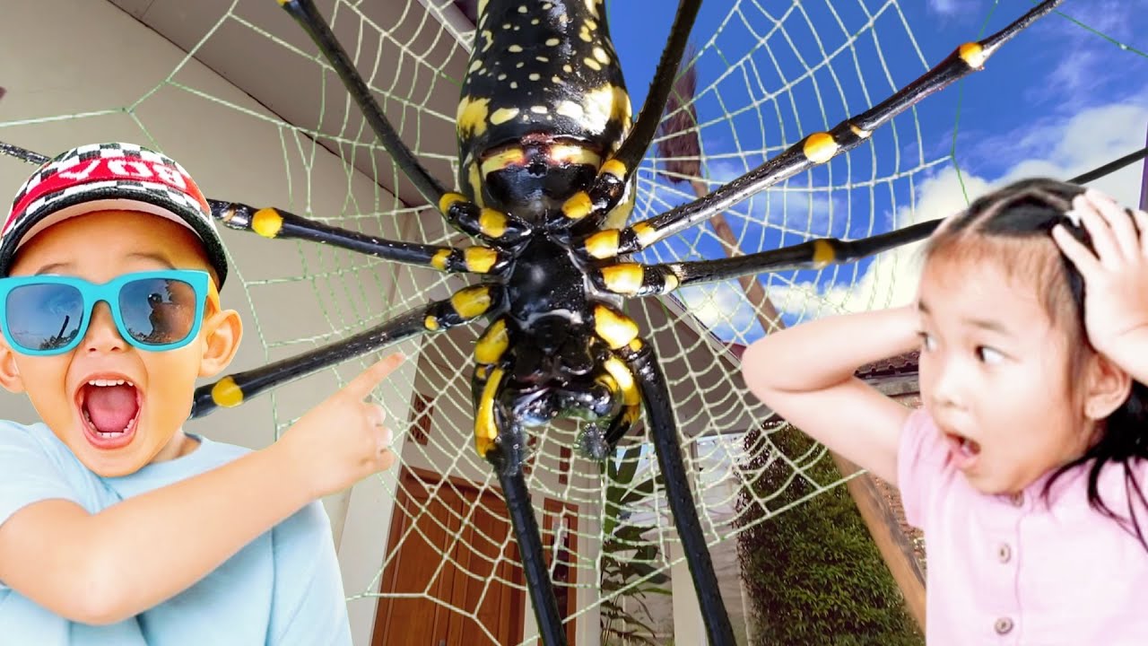 Hunting TOP Spider in Aroun Us! Catching Giant Golden Spider, Gagamba ...