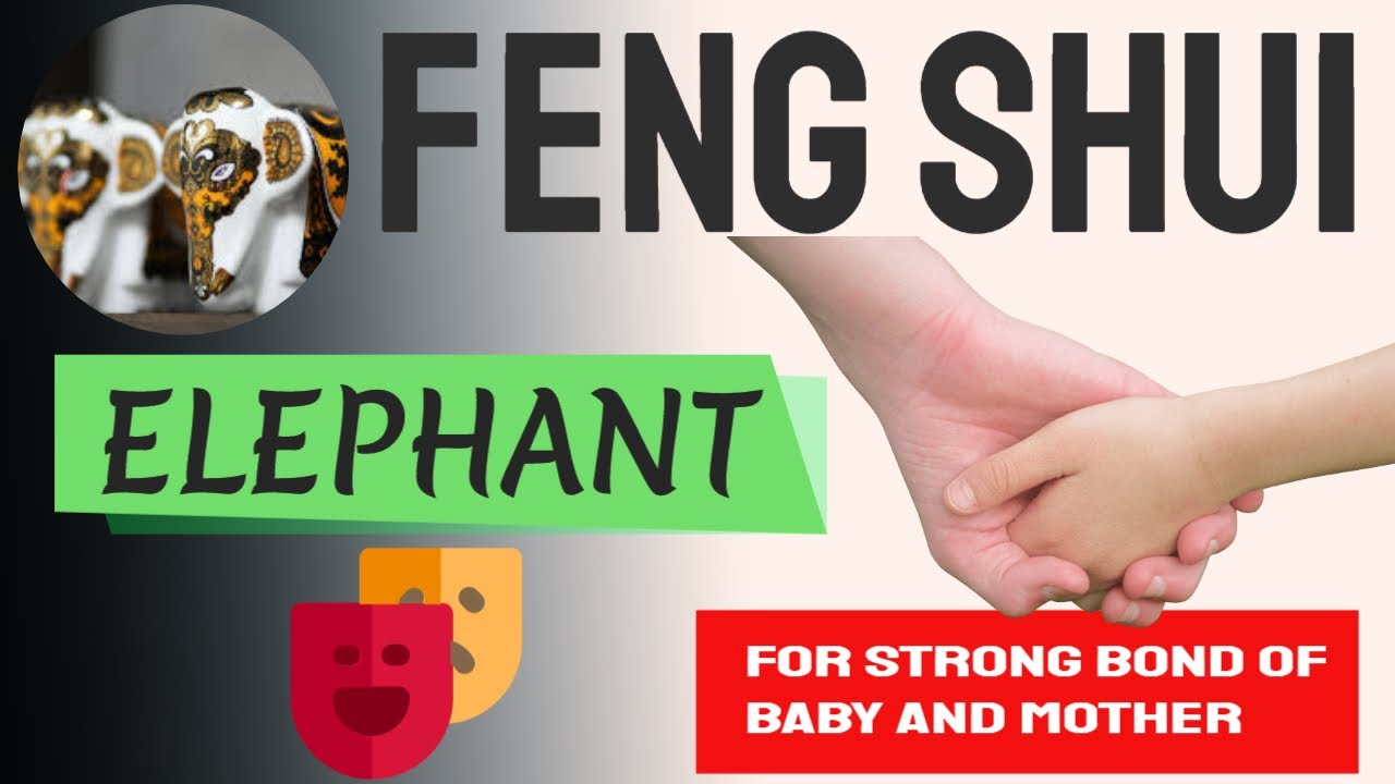 Feng Shui Elephant Facing Direction Front Door Feng Shui YouTube