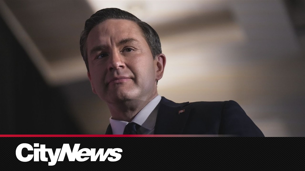 Poilievre needs to focus on ‘cohesive plan’ to regain support: Veteran Conservative MP