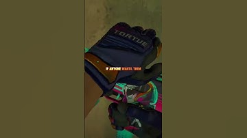 😥 Goodbye to CS2 — passing my collection to you