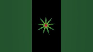 Amazing Python new GUI patterns flower #python  #coding #short #shorts  Full source code in telegram