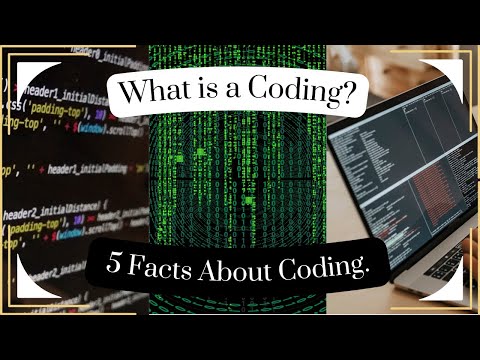 5 Facts about