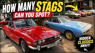 How Many Triumph Stags Can You Spot 🦌 Inside Stag Classics' Amazing Yard! 🇬🇧