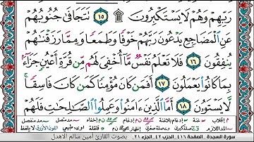 سورة السجدة _ بصوت القارئ أمين سالم الاهدل