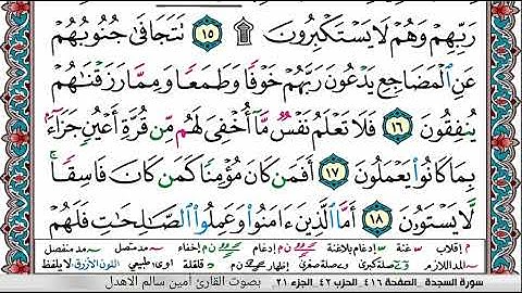 سورة السجدة _ بصوت القارئ أمين سالم الاهدل