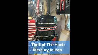 Thrill of the Hunt: Mercury Inlines