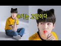 [방탄소년단 슈가] 윤기는 뭐다? 고양이다/윤기 귀여운 순간 모음 / BTS Suga Cute Moments