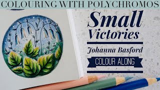 Colouring in SMALL VICTORIES | Johanna Basford | Polychromos Colour along