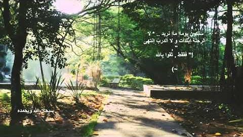 Quran _ Nasser alqtami- سورة التكاثر ناصر القطامي