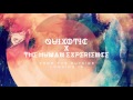 Quixotic &amp; The Human Experience - The Fire Inside - From The Outside Looking In