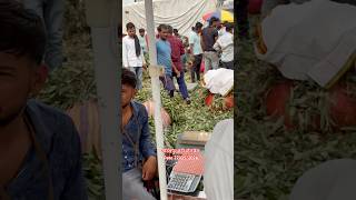 22 May 2026 Gorakhpur fruit 🍈 market today price #viral #fruitmarket