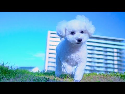 4年間ありがとうございました。