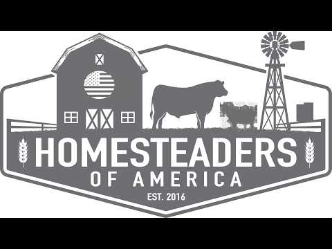 Young Homesteaders: Why They Are Choosing This Life