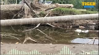 LAGU MINANG GANGGAM KOK LAPEH WAWA NAELA - LAGU CAMPURAN ( TIGER MUSIK )